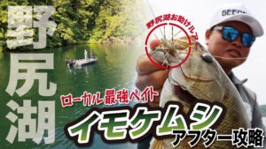 【バス釣り】ローカル最強ベイト!野尻湖のスモールマウスをイモケムシで狙う!