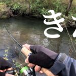 【渓流釣り】これは自主規制だわ…