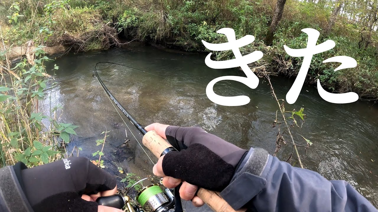 【渓流釣り】これは自主規制だわ…