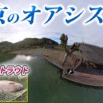 東京都内でモンスタートラウトが釣れる場所がヤバすぎた！【エリアトラウト・管理釣り場】