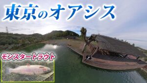 東京都内でモンスタートラウトが釣れる場所がヤバすぎた!【エリアトラウト・管理釣り場】
