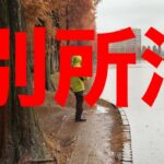 埼玉バス釣りポイント　浦和　【別所沼】