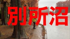 埼玉バス釣りポイント　浦和　【別所沼】