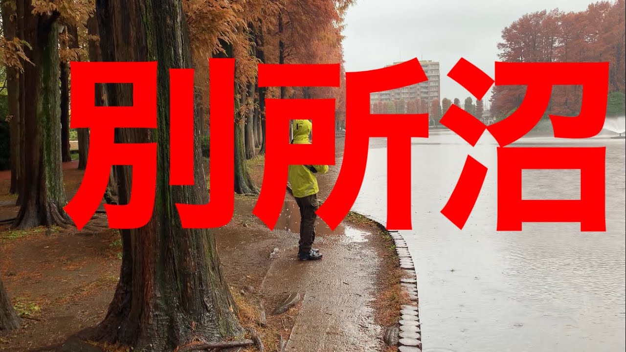 埼玉バス釣りポイント　浦和　【別所沼】