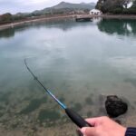 まさかの管理釣り場貸切状態！大放流後のお祭り楽しすぎたｗ