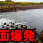 【衝撃】人生初の川シーバスがまさかの大物ヒット！完全に想定外。