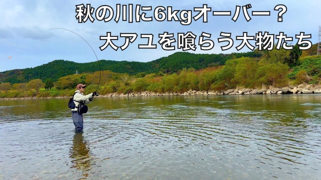 秋の荒喰いで信じられない太り方をした大物がいる川で釣りしてみた結果