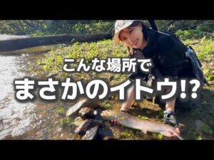 まさか…この小さな川でイトウが!?