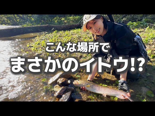 まさか…この小さな川でイトウが!?