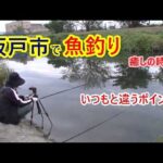 秋の川釣りは癒しの時間。いつもと違うポイントでも、魚がいっぱい♪