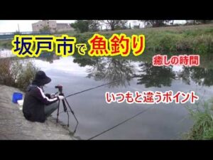 秋の川釣りは癒しの時間。いつもと違うポイントでも、魚がいっぱい♪