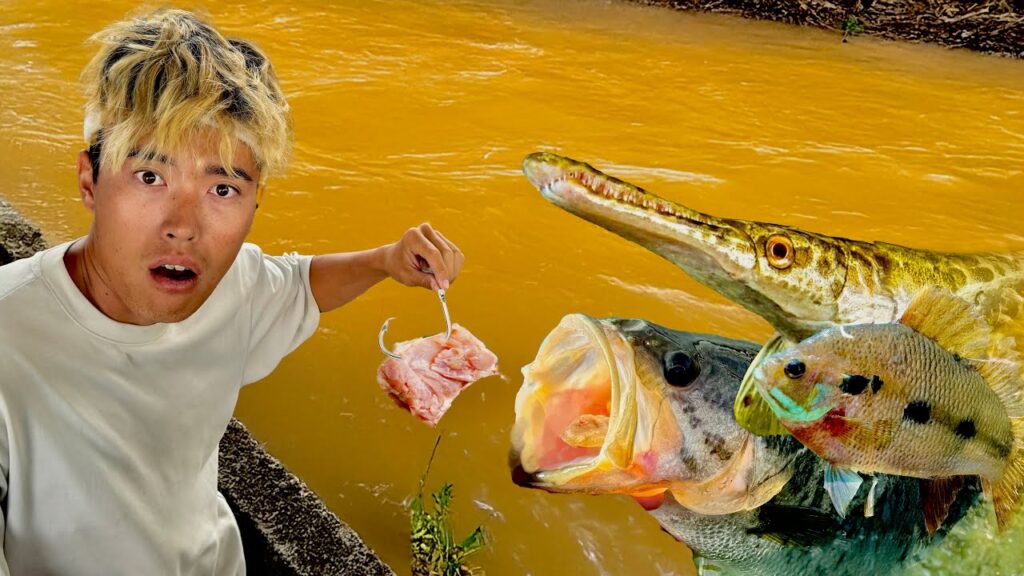 アメリカにある川に鶏肉沈めた結果