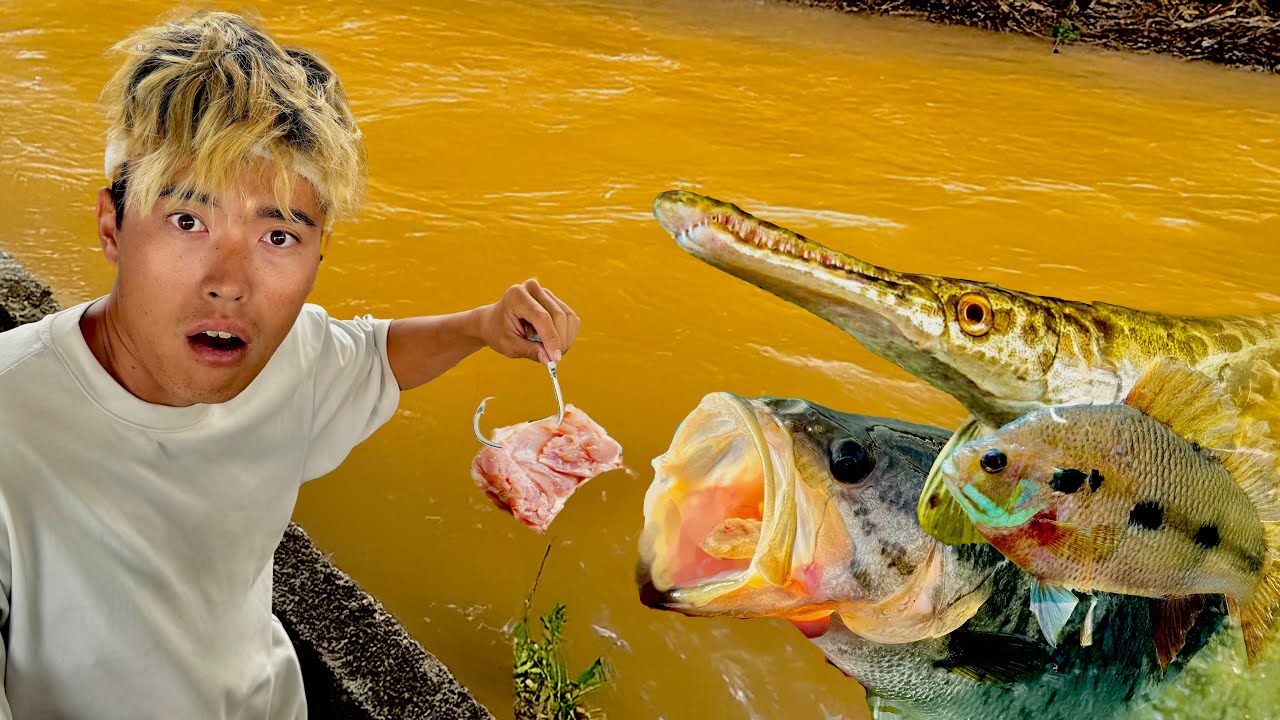 アメリカにある川に鶏肉沈めた結果