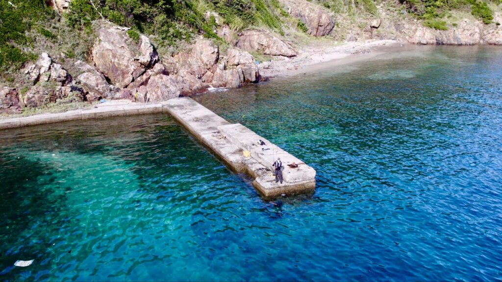 【何でこんな所に?】山の下の謎堤防。調査したら大物の巣でした…。