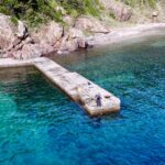 【何でこんな所に?】山の下の謎堤防。調査したら大物の巣でした…。