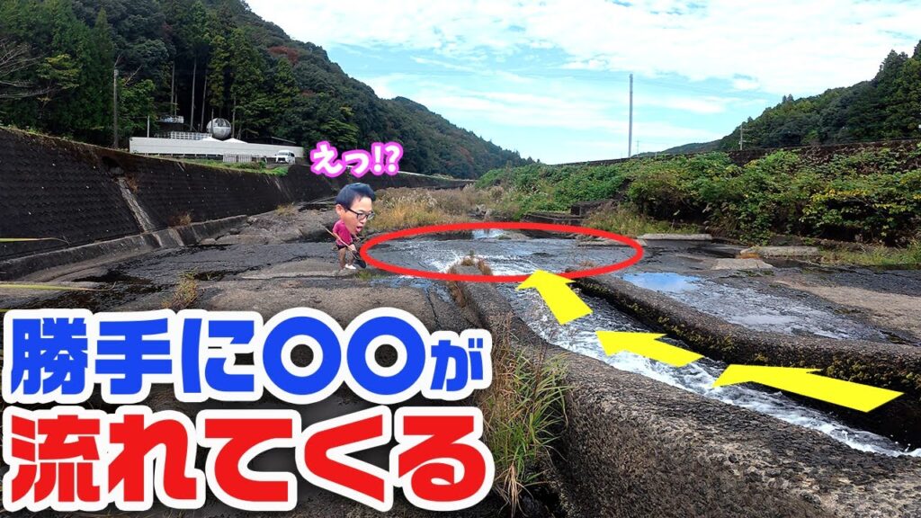 大発見！？待ってるだけでこの時期旬の生物が次々と…