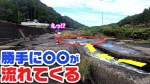 大発見！？待ってるだけでこの時期旬の生物が次々と…
