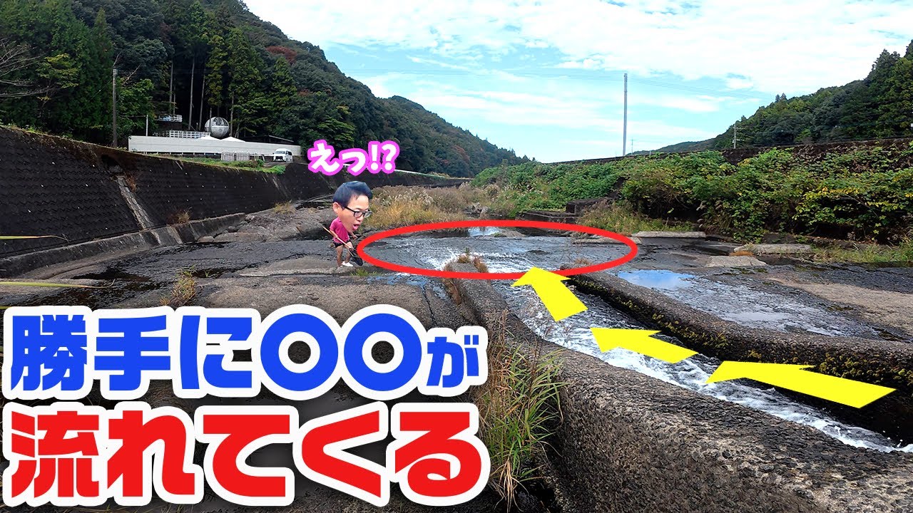 大発見!?待ってるだけでこの時期旬の生物が次々と…