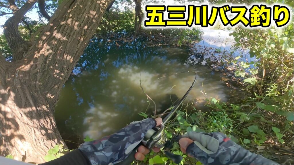 【神奈川遠征の帰り道】五三川でバス釣りするも、最終的には伊庭内湖で釣れる【車中泊釣り旅】