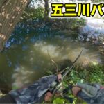 【神奈川遠征の帰り道】五三川でバス釣りするも、最終的には伊庭内湖で釣れる【車中泊釣り旅】