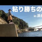 【浜名湖 釣り】粘ったら色々釣れた❤︎ #セイゴ #うなぎ #モクズカニ