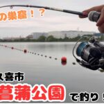 外来種の巣窟で釣りをしたら楽しすぎた。埼玉県久喜菖蒲公園の沼で釣り！