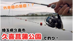 外来種の巣窟で釣りをしたら楽しすぎた。埼玉県久喜菖蒲公園の沼で釣り!