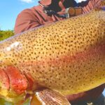 自分で釣ったサーモンで作るレアカツ、最高なんよ。【エリアトラウト】【管理釣り場】