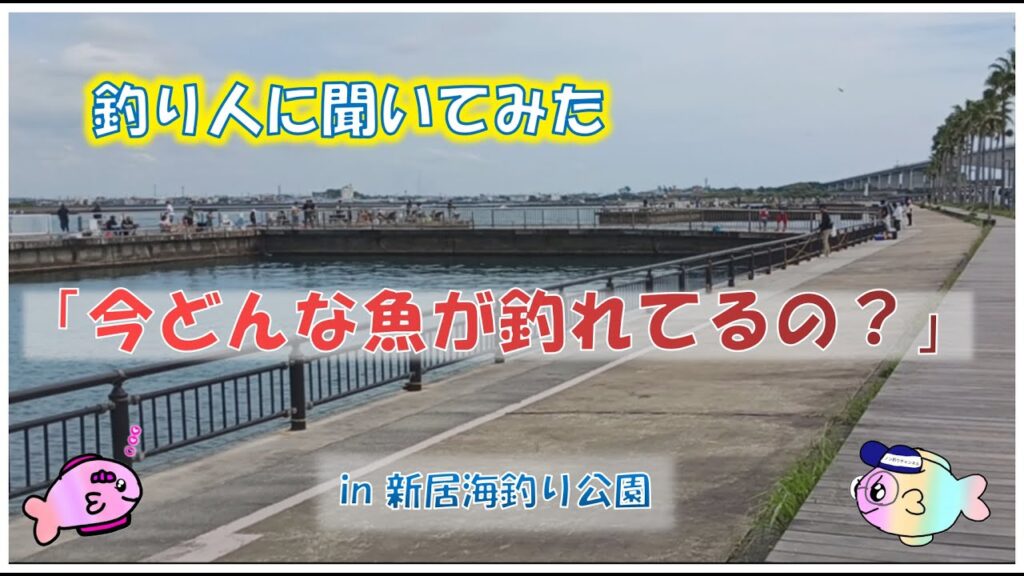 浜名湖　釣り人インタビュー「何が釣れてますか？」