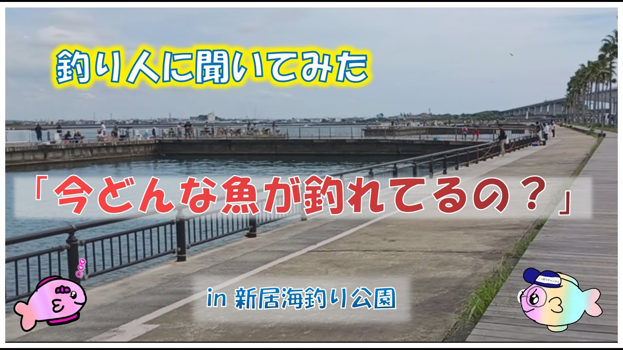 浜名湖 釣り人インタビュー「何が釣れてますか?」