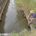 珍しい〇〇〇〇が釣れました♪  千葉県 野田で小物釣り。