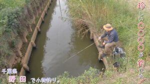 珍しい〇〇〇〇が釣れました♪  千葉県 野田で小物釣り。