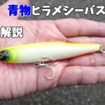 【使い方解説】ダイソーから釣り具メーカー顔負け青物シーバスヒラメマゴチが釣れる最高なルアーが発売されました！
