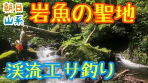 【渓流エサ釣り】山形朝日山系 源流でイワナ釣り（前編）