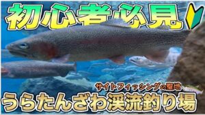 魚が食う瞬間が丸見え！うらたんざわ渓流釣り場【管理釣り場】