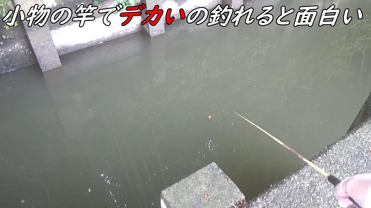 小物の竿で大物釣れると面白い