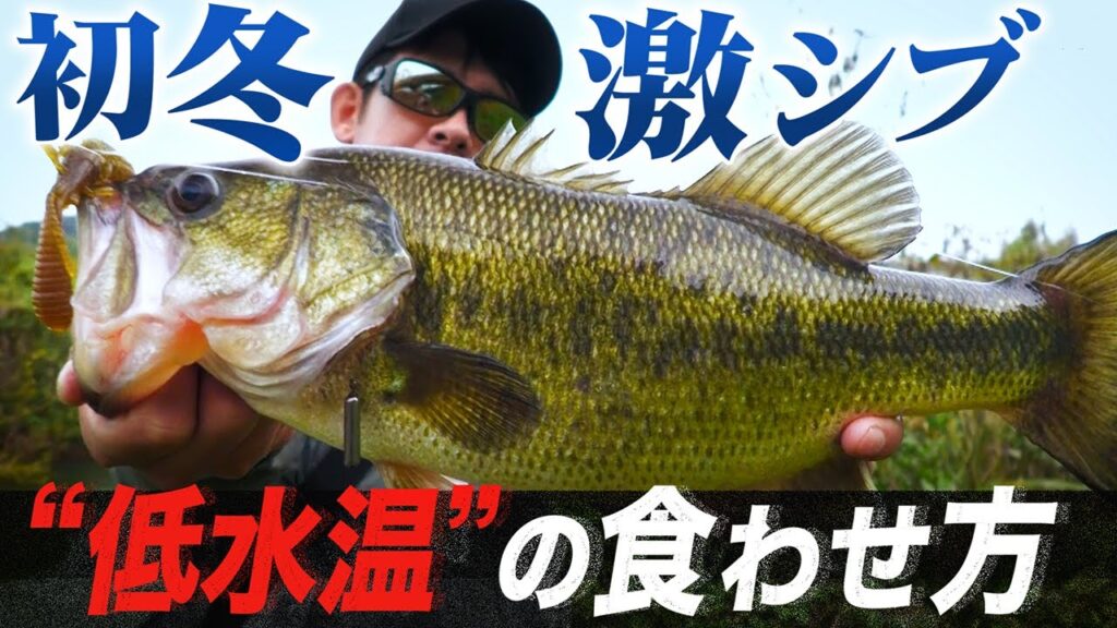 【バス釣り】遠賀川  |  初冬でも確実に獲るための”必釣リグ”炸裂！佐藤リョーキ【釣り時季】