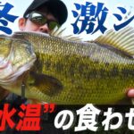 【バス釣り】遠賀川  |  初冬でも確実に獲るための”必釣リグ”炸裂！佐藤リョーキ【釣り時季】