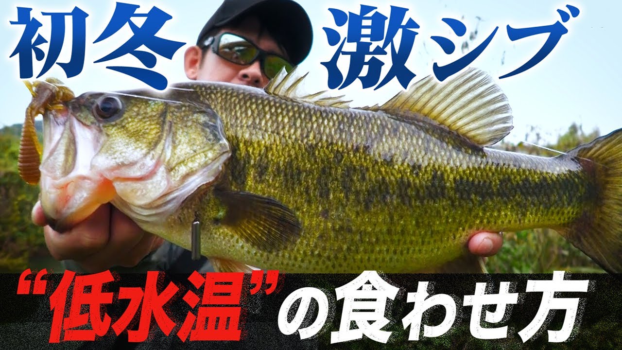 【バス釣り】遠賀川 | 初冬でも確実に獲るための”必釣リグ”炸裂!佐藤リョーキ【釣り時季】