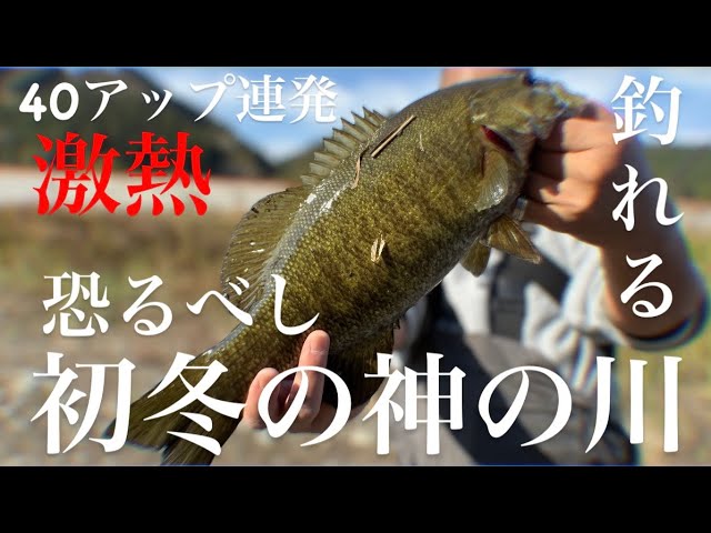 【バス釣り】神の川は冬でも釣れるのか⁉︎【スモールマウスバス】