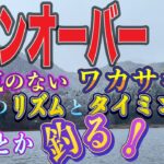 【ワカサギ釣り】やる気のないワカサギの釣り方！#ワカサギ釣り #桧原湖ワカサギ釣り #シマノ #レイクマスター #やまぐっち