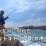 大荒れの磯で釣り上げたバターのように脂が乗った大物を食べてみたら美味すぎた