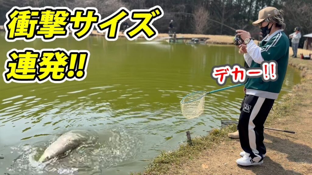 大型ブランド鱒がボコボコに釣れる釣り場が楽しすぎた！【エリアトラウト・管理釣り場】