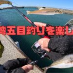 【海釣り】富山の無料釣り施設で五目釣り！【釣り女子】