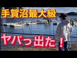 【手賀沼バス釣り】ロクマル級のバス目撃情報あり! バス釣り おかっぱり