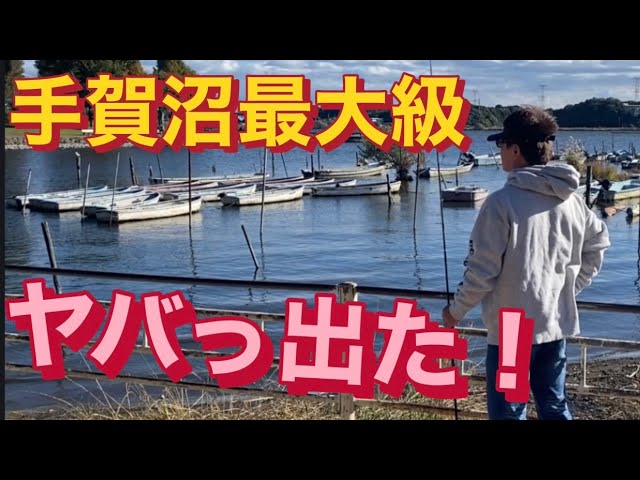 【手賀沼バス釣り】ロクマル級のバス目撃情報あり! バス釣り おかっぱり