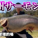 巨大な上州サーモンが居る【管理釣り場】群馬県の管理釣場には巨大な高級魚が居るエリアトラウト
