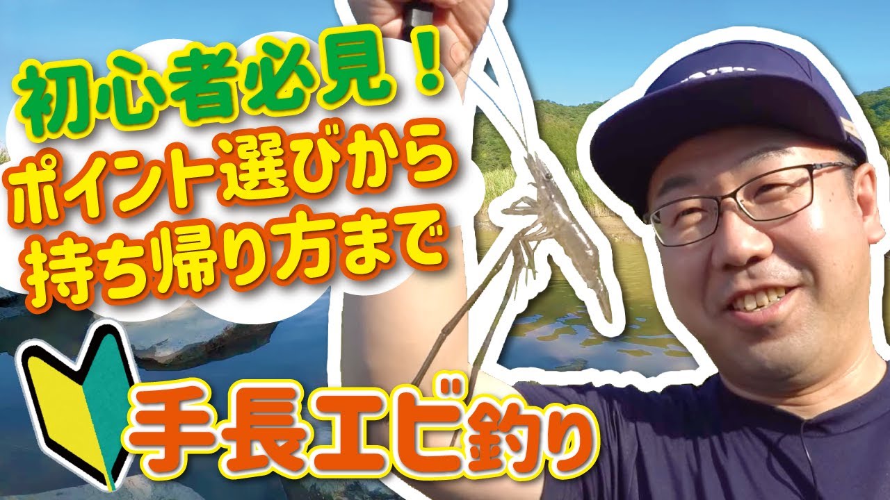 【初心者必見】ポイント選びから持ち帰り方まで 手長エビ釣り