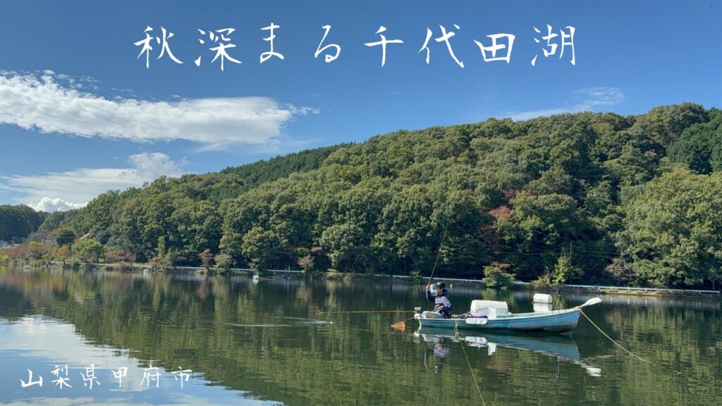 秋深まる放流前の千代田湖 中尺チョーチンセット へらぶな釣り