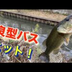 【霞ヶ浦バス釣り】まだいける！？ 霞水系サイトフィッシング おかっぱり